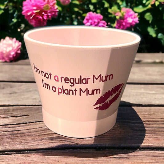 Plant Pot - Mean Girls