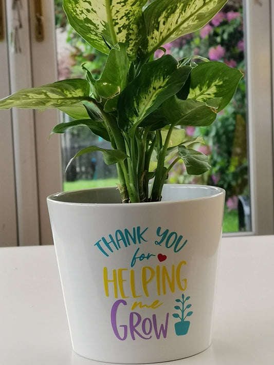 Plant Pot - Thank You Teacher